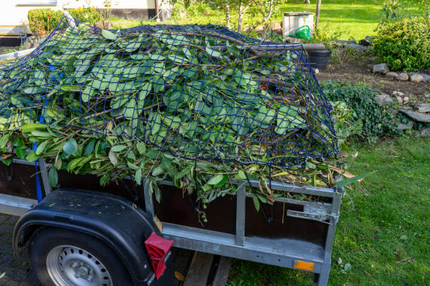 Best Property Management Cleanouts  in Evart, MI